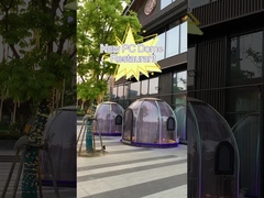 Freies stehendes transparentes Zelt-hitzebeständiges Polycarbonats-Hauben-Zelt der Blasen-10x10